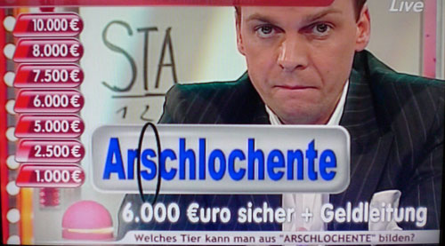 arschlochente.jpg